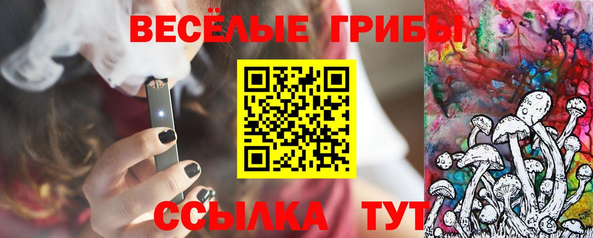 Псилоцибиновые грибы GOLDEN TEACHER  Псилоцибиновые грибы ЛСД  Касимов  Вход с VPN 